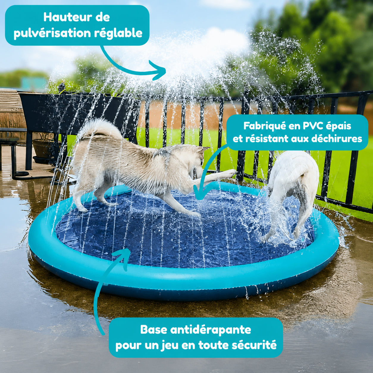 PatteSplash™ – Tapis Aquatique pour Chien
