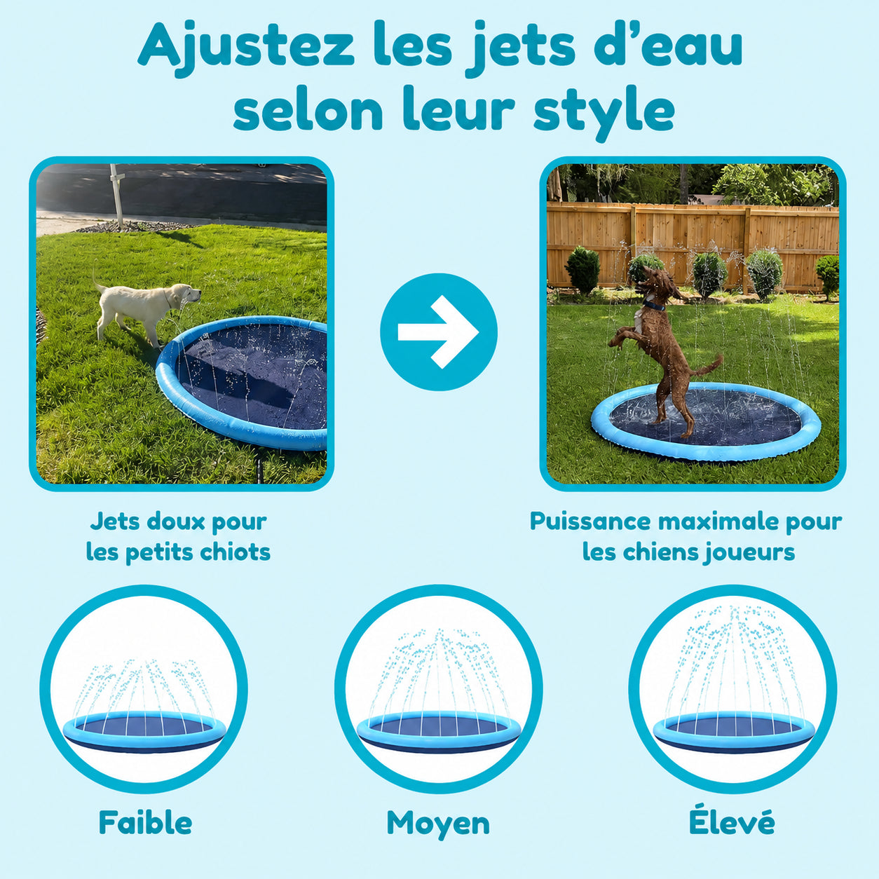 PatteSplash™ – Tapis Aquatique pour Chien